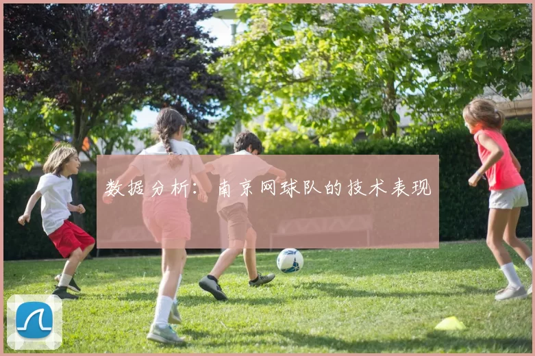 数据分析：南京网球队的技术表现