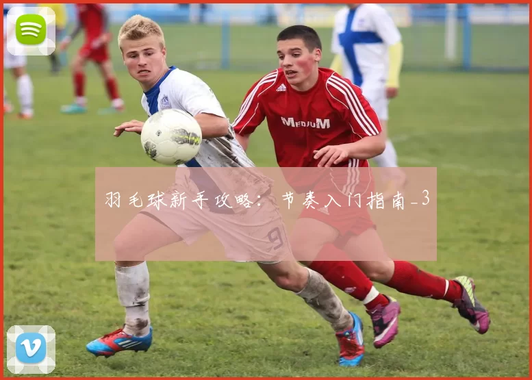 羽毛球新手攻略：节奏入门指南_3