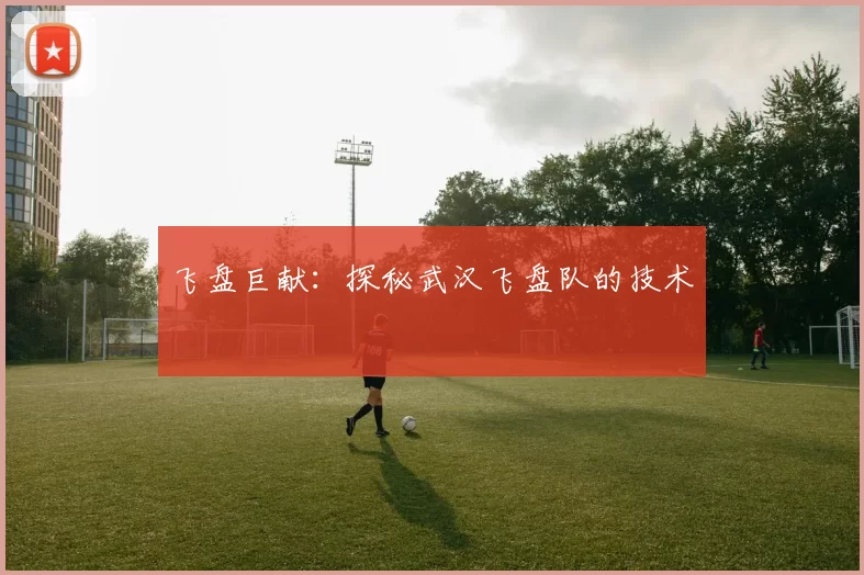 飞盘巨献：探秘武汉飞盘队的技术