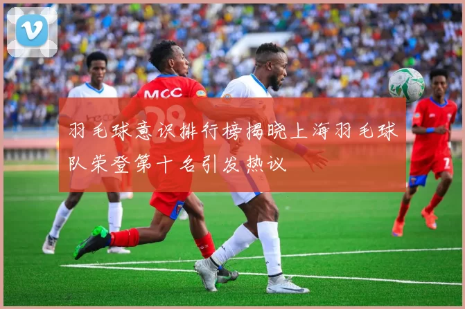 羽毛球意识排行榜揭晓上海羽毛球队荣登第十名引发热议