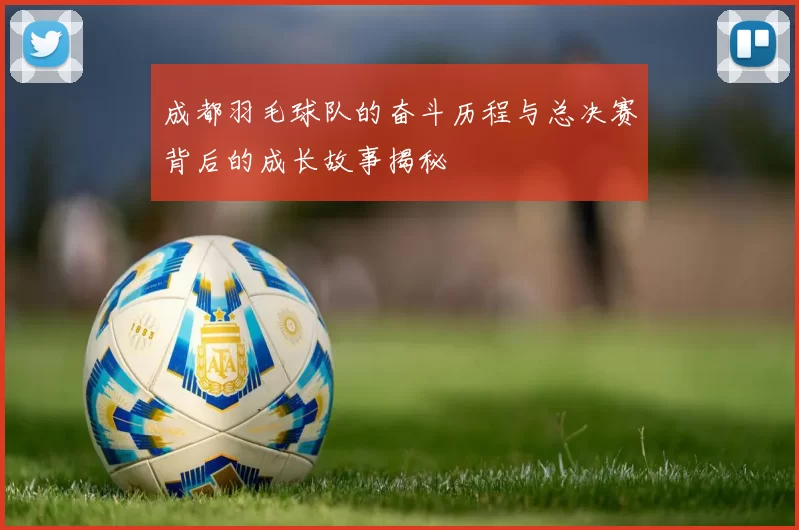 成都羽毛球队的奋斗历程与总决赛背后的成长故事揭秘