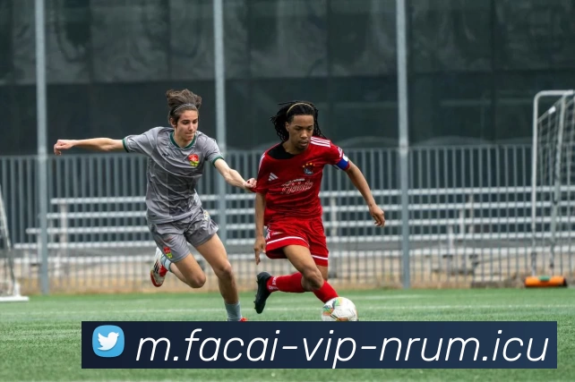 九游体育平台生态图